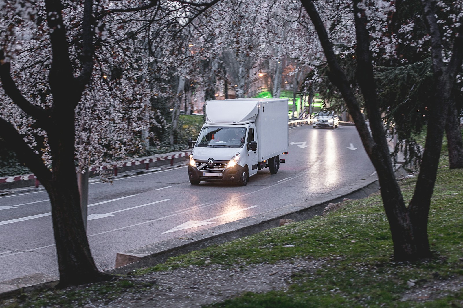 white van on road near trees during daytime, commercial auto